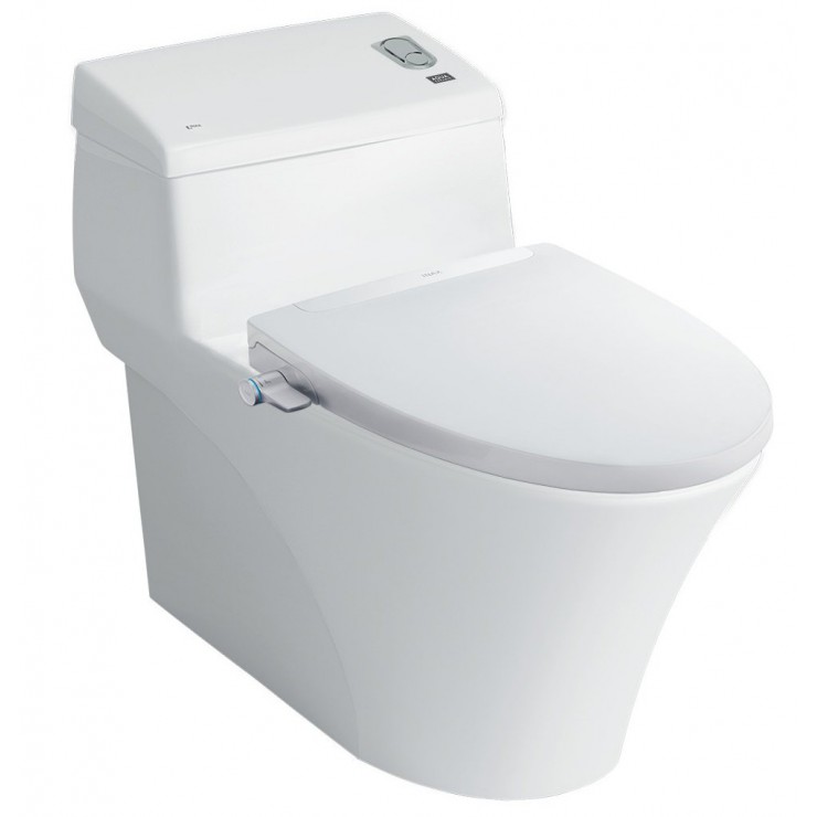 Bàn cầu 1 khối nắp rửa cơ INAX AC-1008R + CW-S32VN