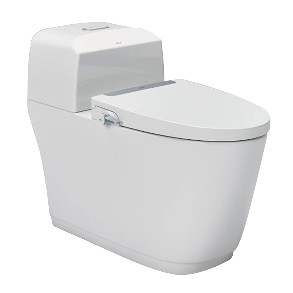 Bàn cầu 1 khối nắp rửa cơ INAX AC-1032 + CW-S32VN