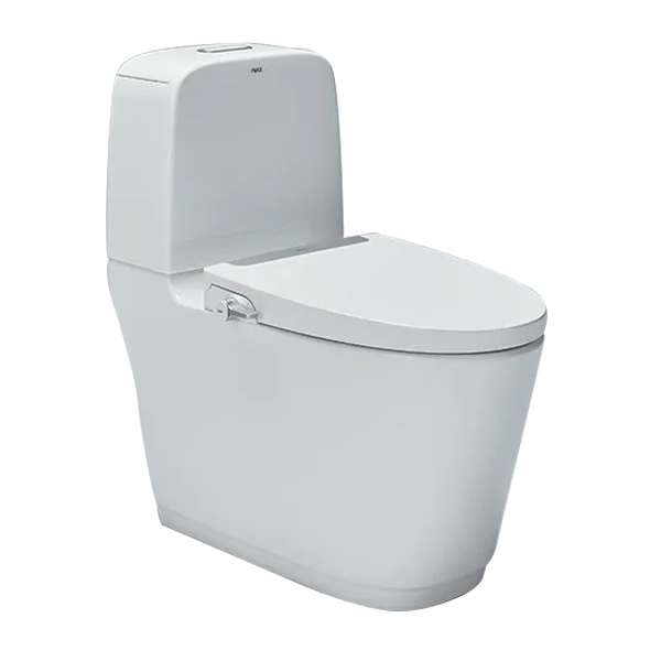 Bàn cầu 2 khối nắp rửa cơ INAX AC-832 + CW-S32VN