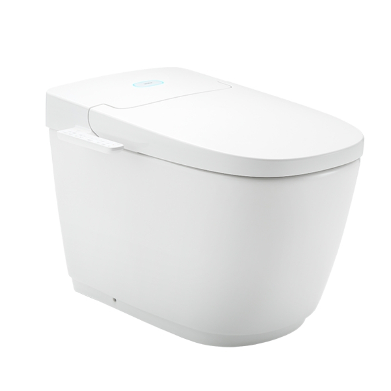 Bàn Cầu Thông Minh INAX AC-816VN (AC816VN) SARAS LIGHT-E