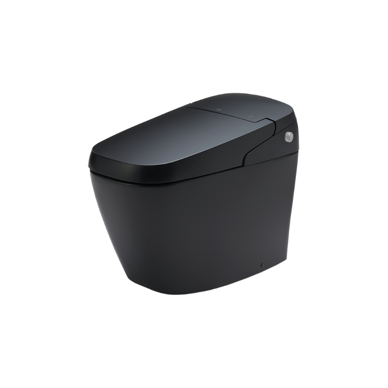 Bàn Cầu Thông Minh INAX AC-G216VN/BKG (ACG216VN) Satis Màu Đen