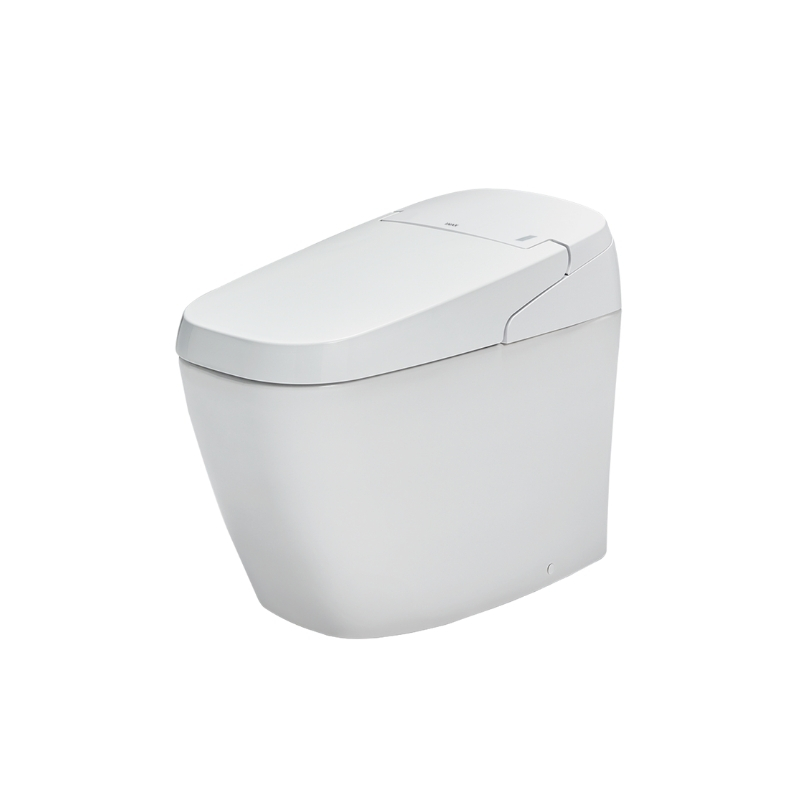 Bàn Cầu Thông Minh INAX AC-G216VN/BW1 (ACG216VN) Satis Màu Trắng