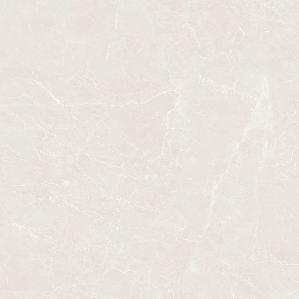 NV - VG - 1008 - T1