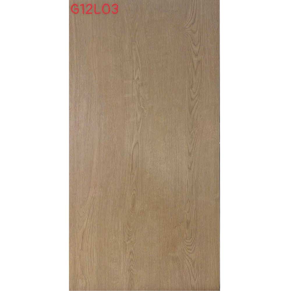 G12L03